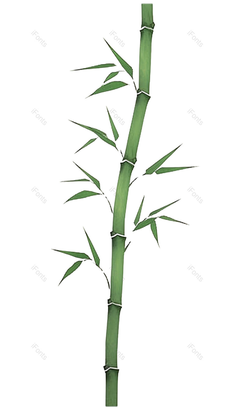 复古图片,卡通元素,插画PNG,竹子免抠素材
